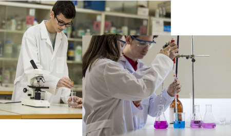 Montaje Inici ACFPI 2